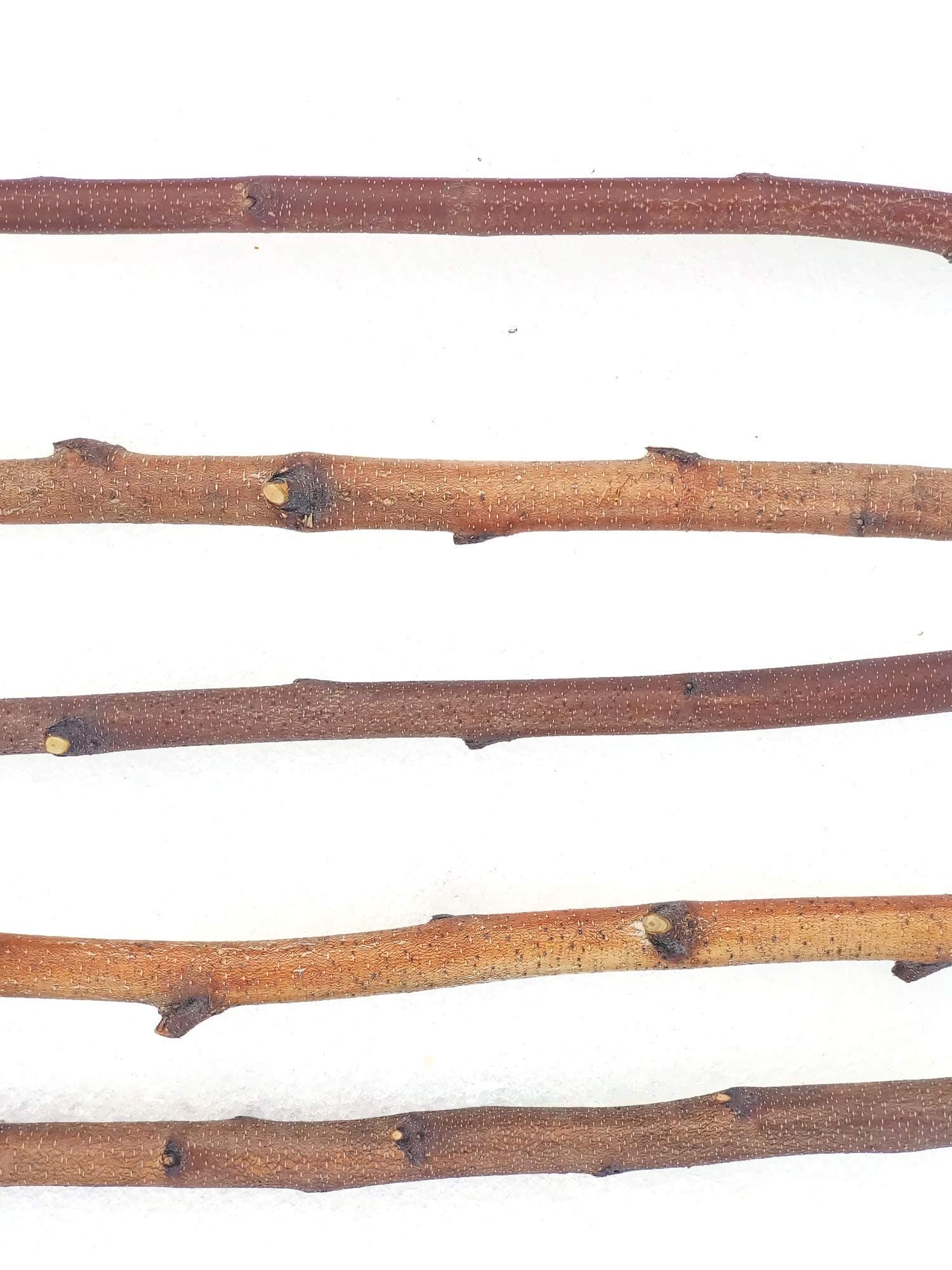 3ft. Birch Pole Assortment, 5 pc. for Wood Projects