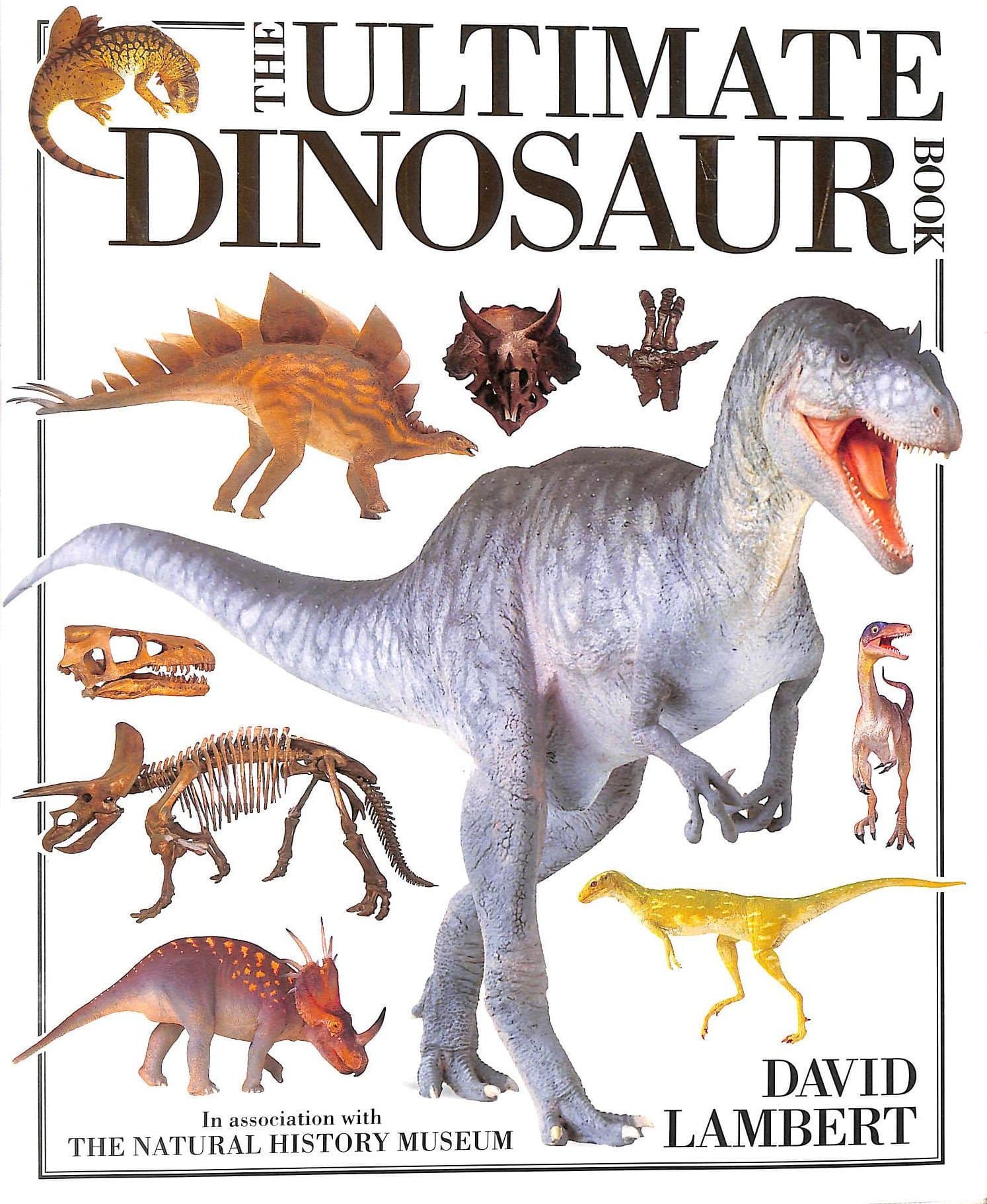 Ultimate Dinosaur Book Hardcover – 14 October 1993