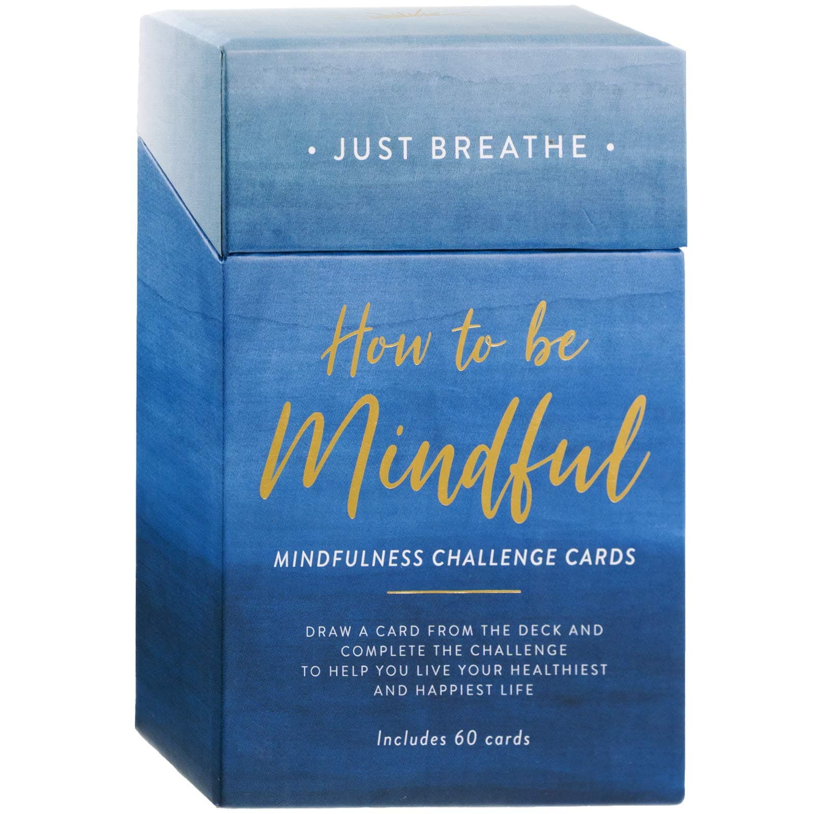 WORLD TRAVELEREccolo How to be Mindful Challenge Cards - 60 Mindfulness Cards - Self Care Cards for Daily Positive Thoughts and Affirmations - Mindfulness Gifts & Affirmations Cards