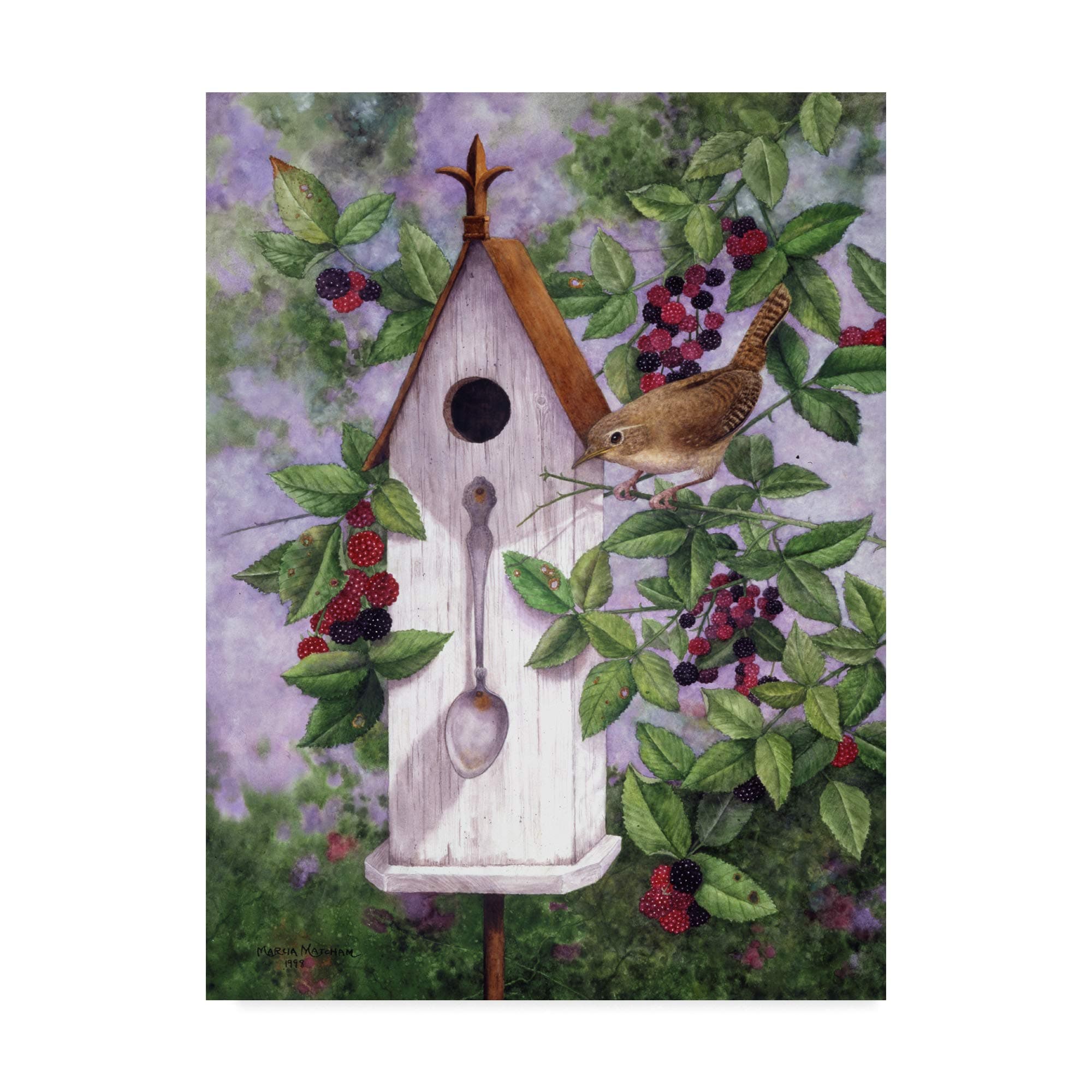 Trademark Fine Art Wren House by Marcia Matcham, 18x24