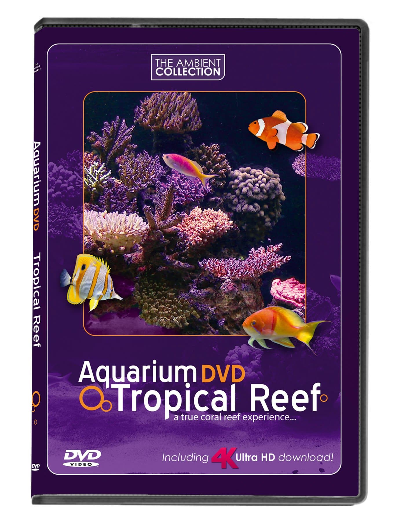 AQUARIUM DVD | TROPICAL REEF with 4K ULTRA HD Download in Natural Sound and Relaxing Music