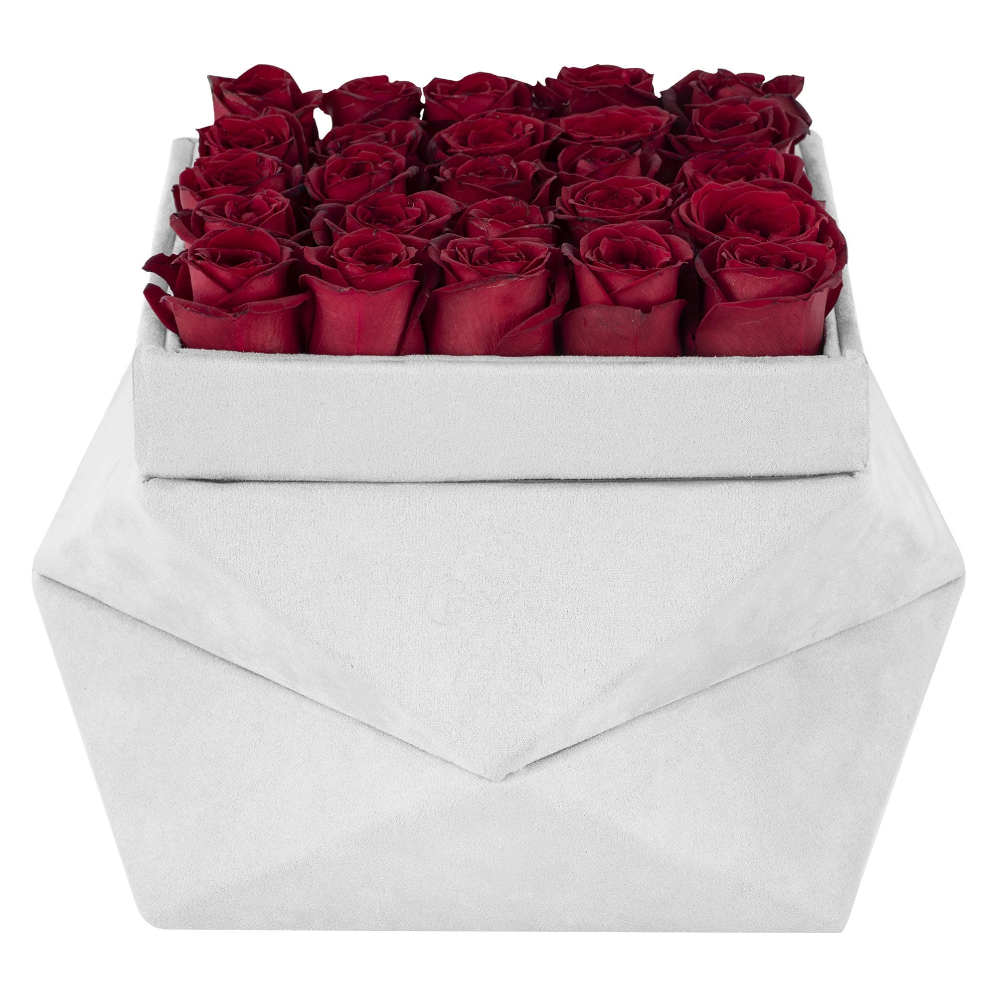 Premium Roses | Fresh Flowers Delivery Prime | Infinity Roses In A Box | Birthday Flowers | Red Roses | White Roses | Flowers Fresh (White Gift Box)