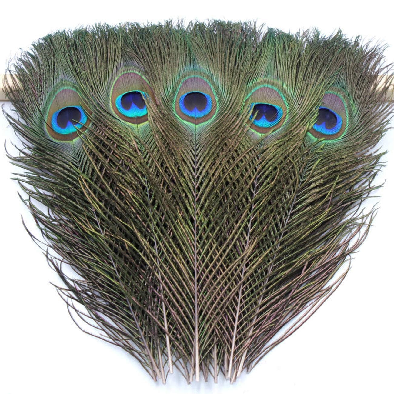 Tinsow Natural Peacock Eye Feathers 9.8 11.8 inch for DIY Craft, Wedding Holiday Decoration (35)