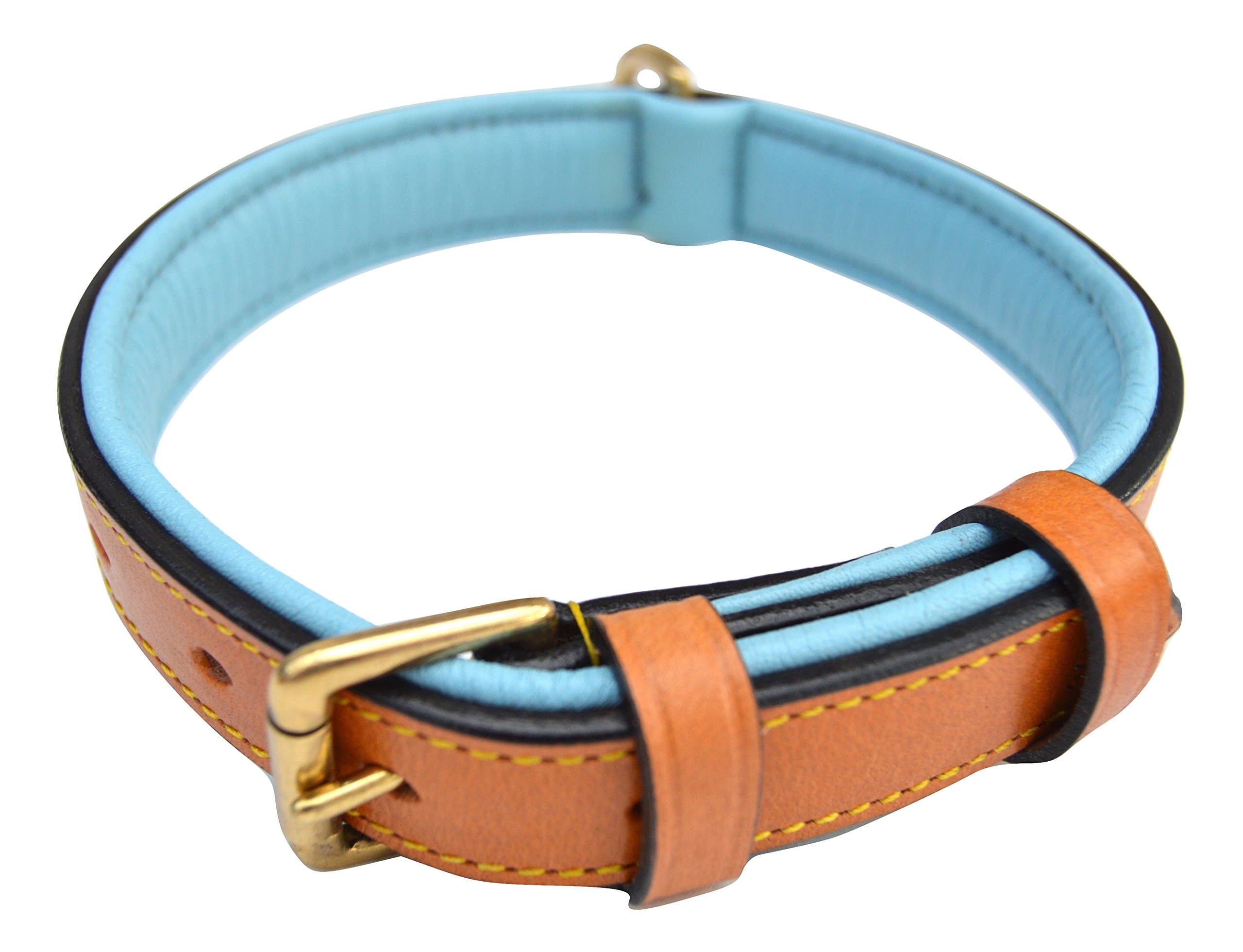 Luxury Real Leather Padded Dog Collar, Tan and Teal, Size Small, 16" Long x 5/8" Wide, Neck Size 11" to 13.5" Inches