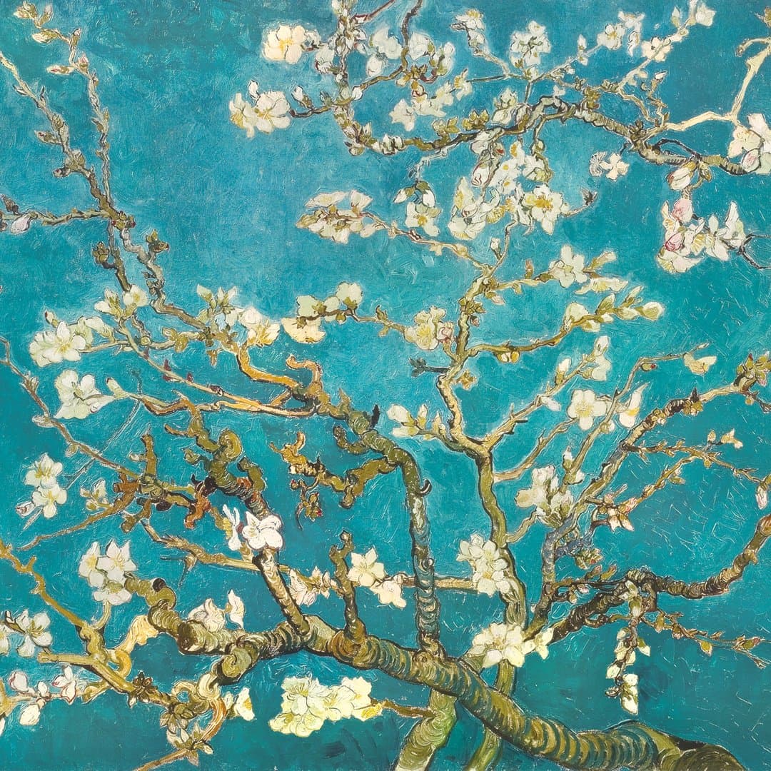 Portfolio Canvas Decor Large Printed Canvas Wall Art Painting, 35 by 35-Inch, Almond Blossom, Framed and Stretched Ready to Hang