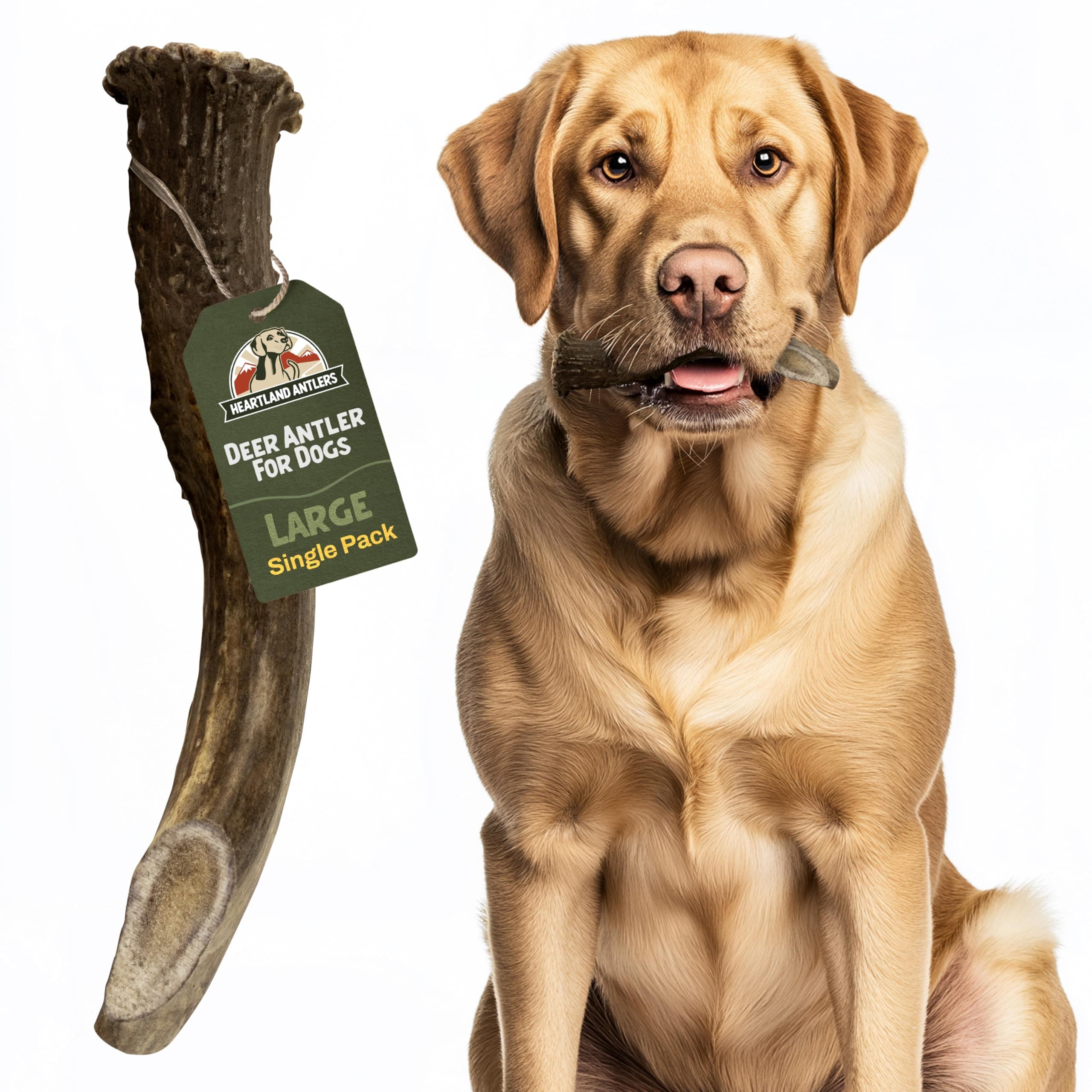 Heartland Deer Antlers for Dogs - Daily Dental Care Chews for Aggressive Chewers to Reduce Plaque & Prevent Destructive Behavior (Large, 6-8", 1-Pack, Grade A, USA Made)