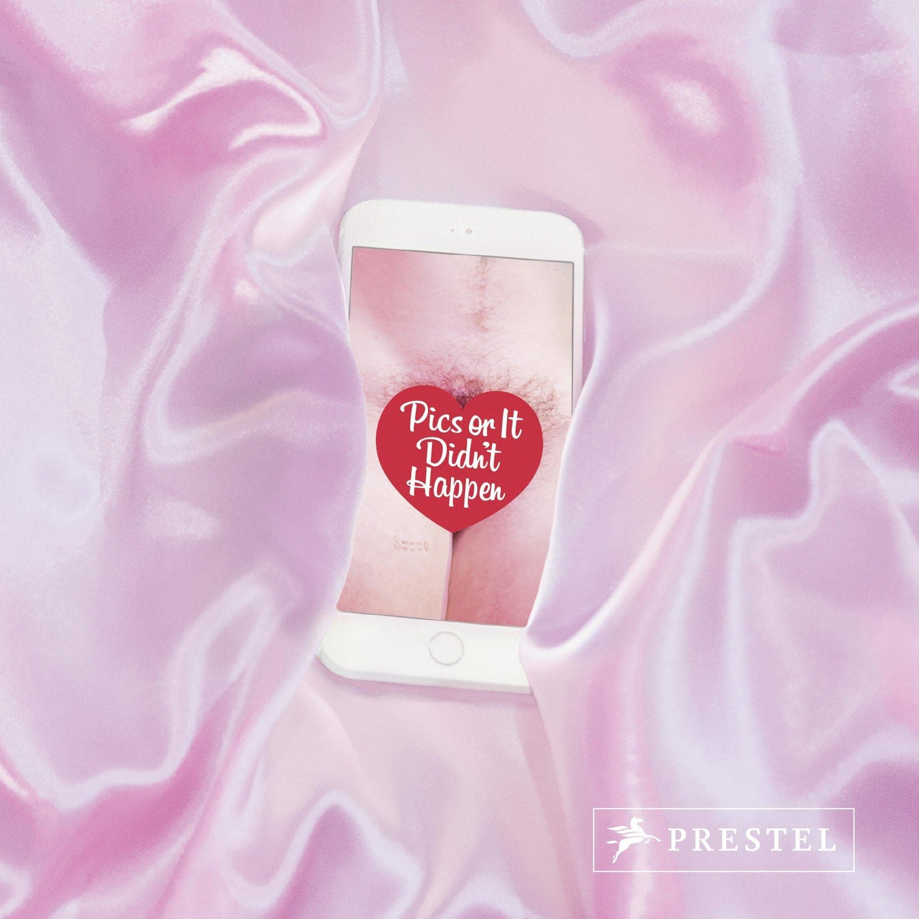 Pics or it Didn't Happen: Images Banned from Instagram Hardcover – 6 Mar. 2017