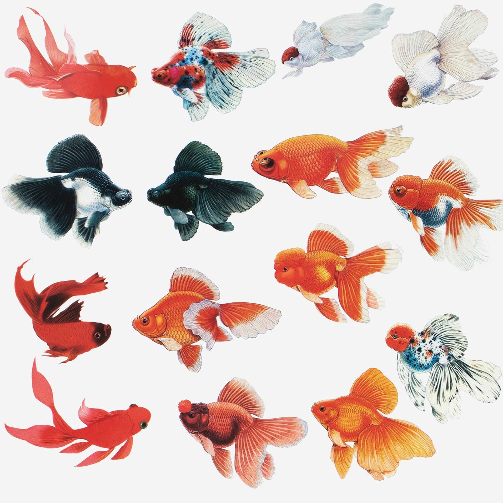 Goldfish Stickers Resin Filler Supplies, Scrapbooking Decoration, Pack of 30-Count Length 2.2-3.5inch