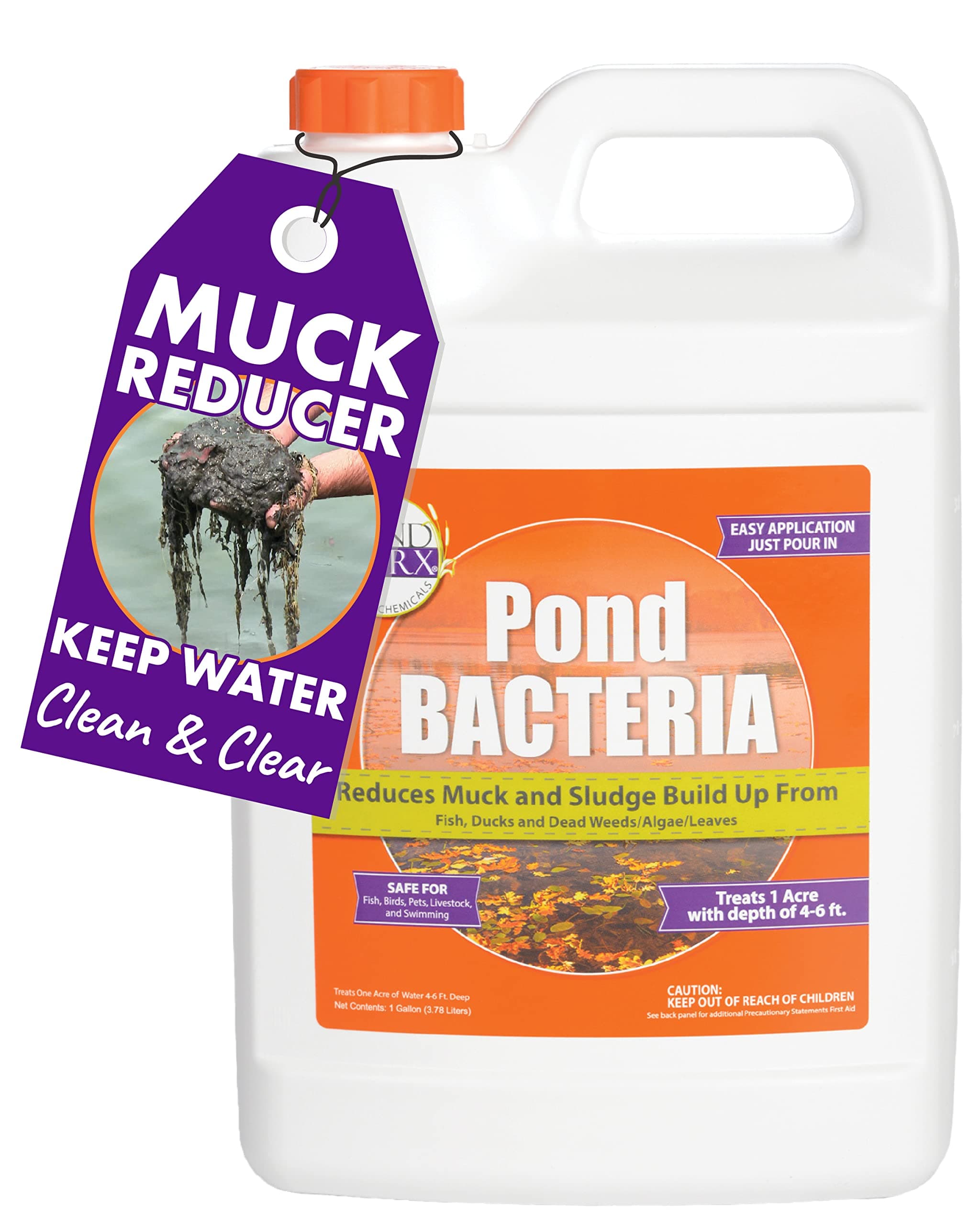 Pond Worx Bacteria - Formulated for Large s, Water Features and Safe for Koi - Gallon