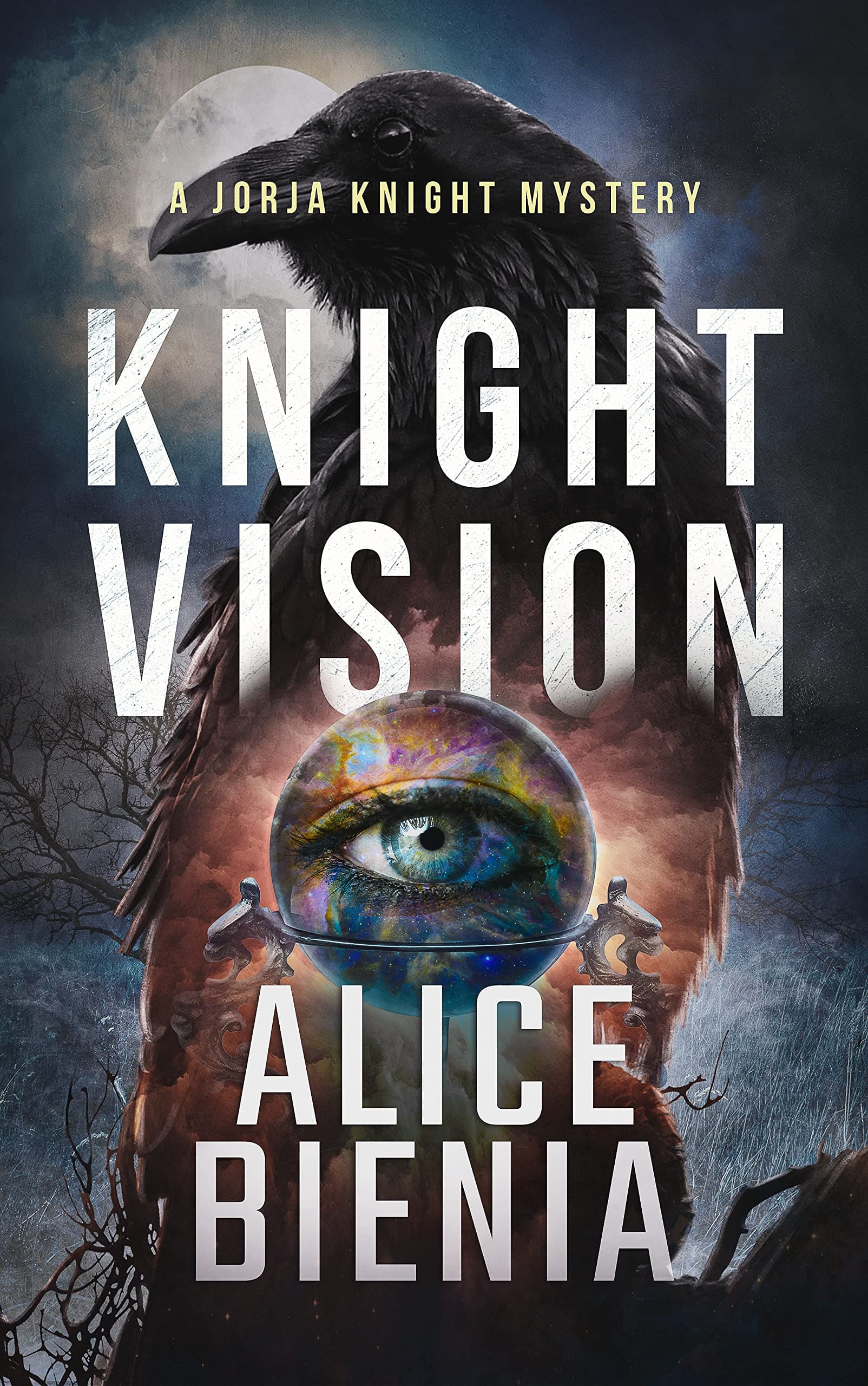 Knight Vision (A Jorja Knight Private Investigator Mystery Book 4)