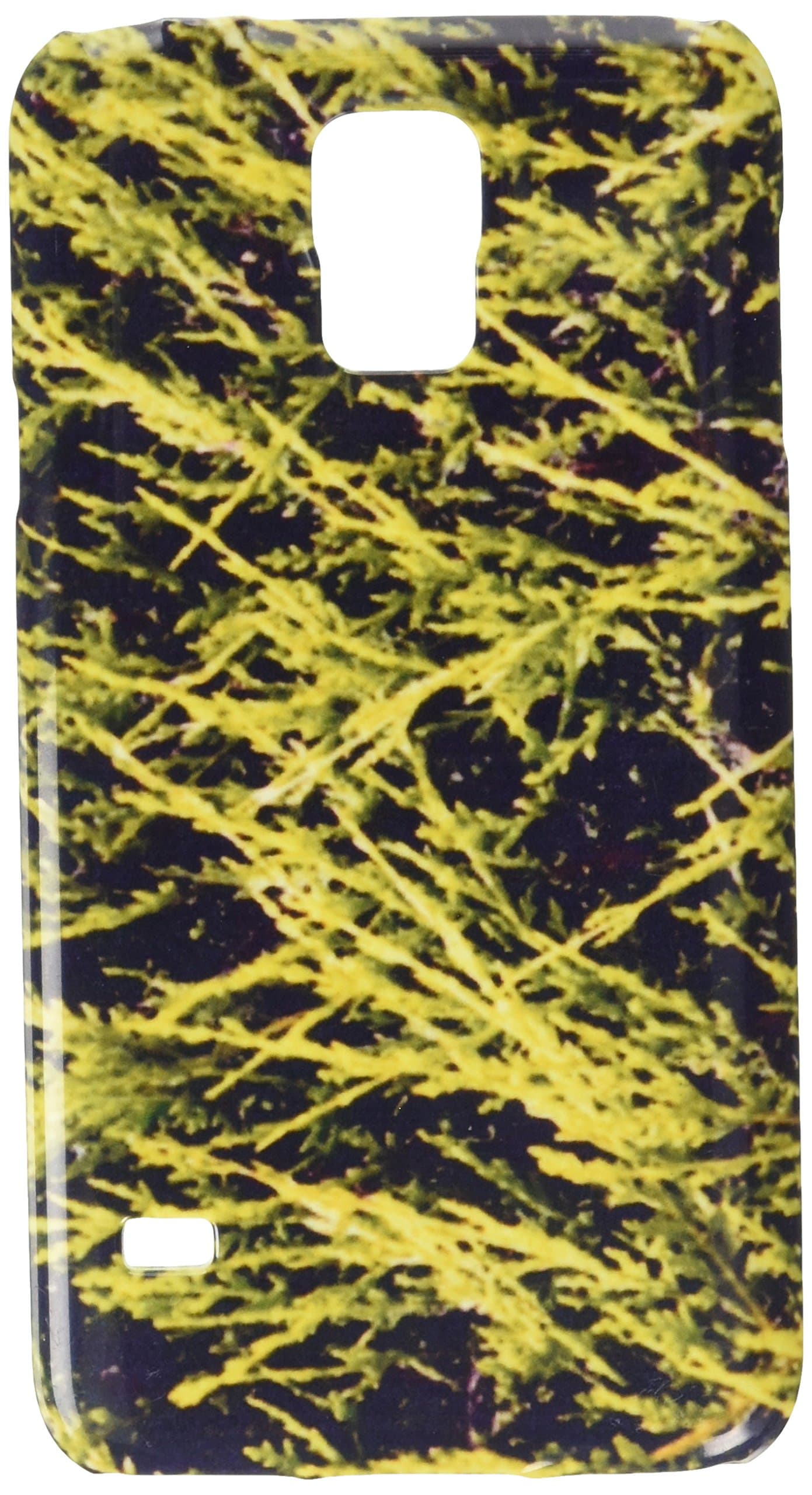 my-handy-designLeyland Cypress Leylandii Arena Photo UK cell phone cover case Samsung S5