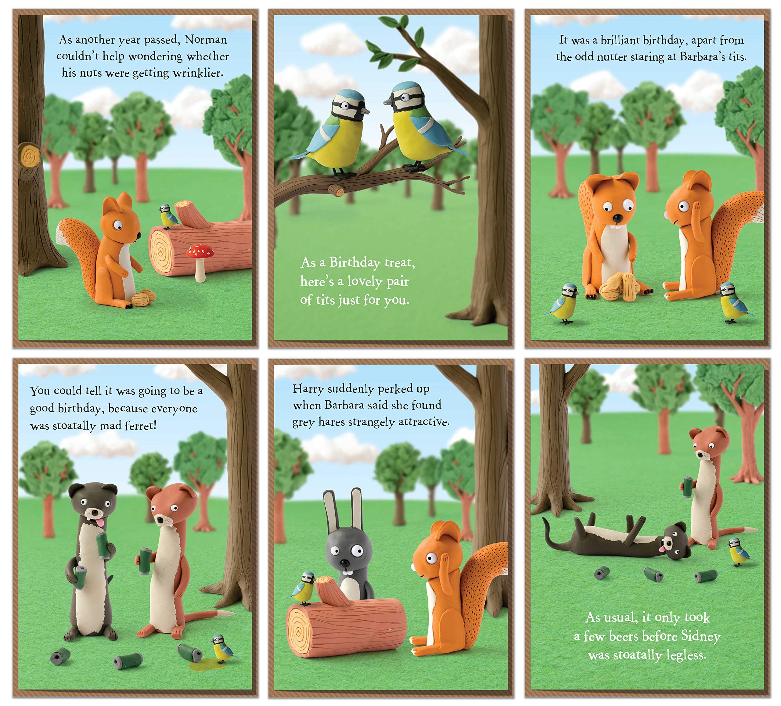 Six Funny Birthday Cards from Dangledown Wood. Fantastic Value 6 Card Pack