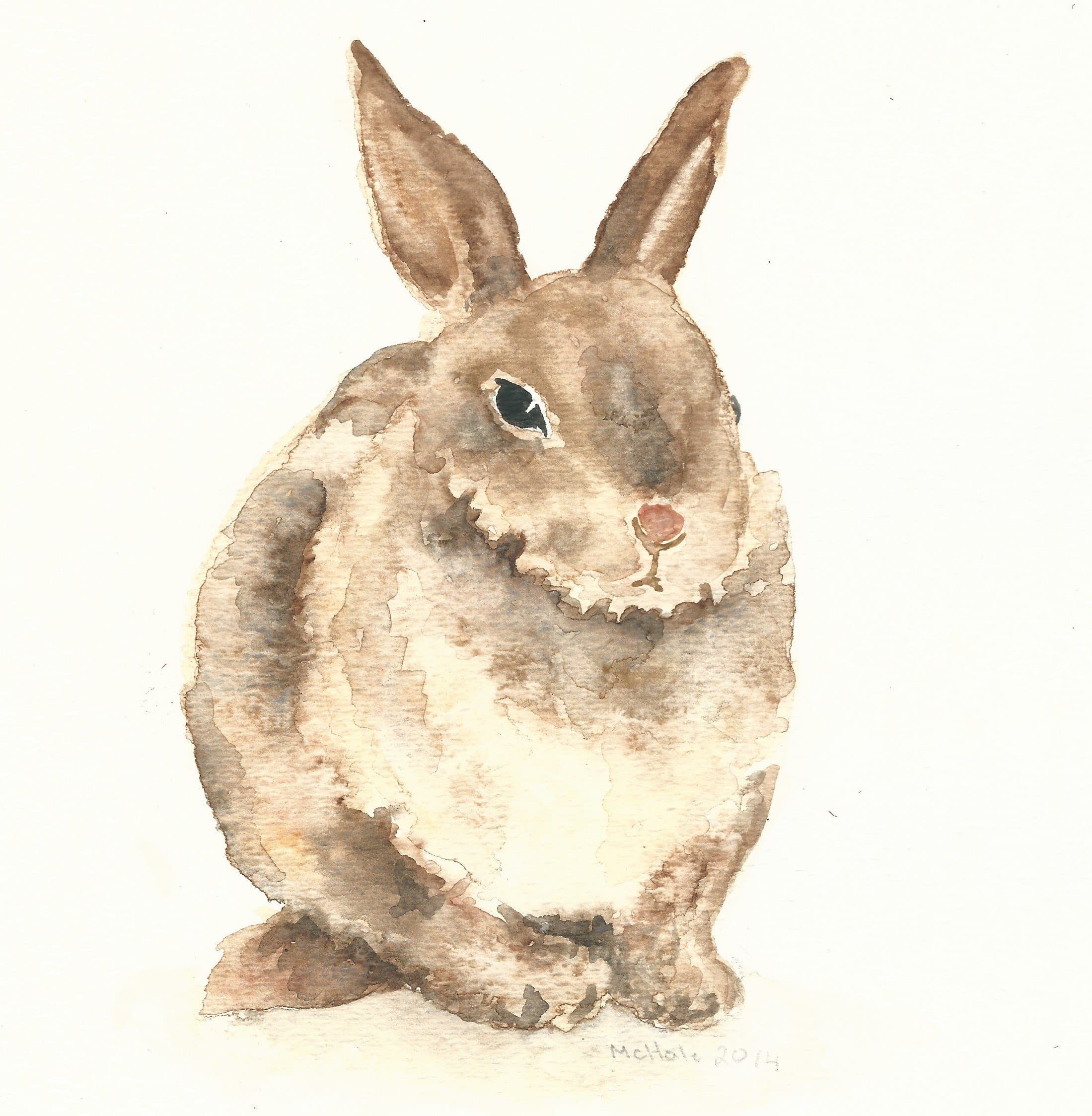 6 Watercolor Note Cards & Envelopes (Bunny, Fawn, Fox)