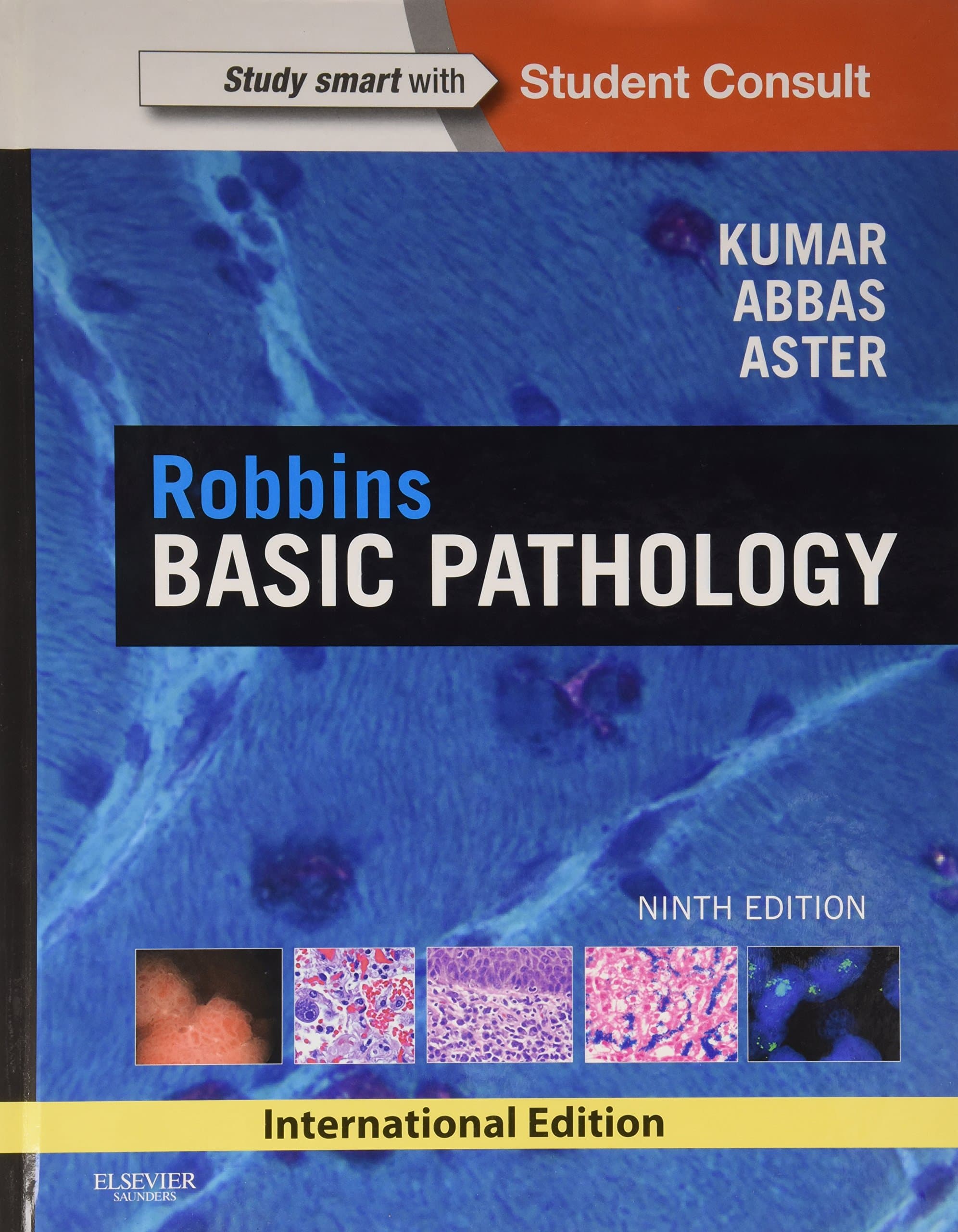 Robbins Basic Pathology Hardcover – January 1, 1608