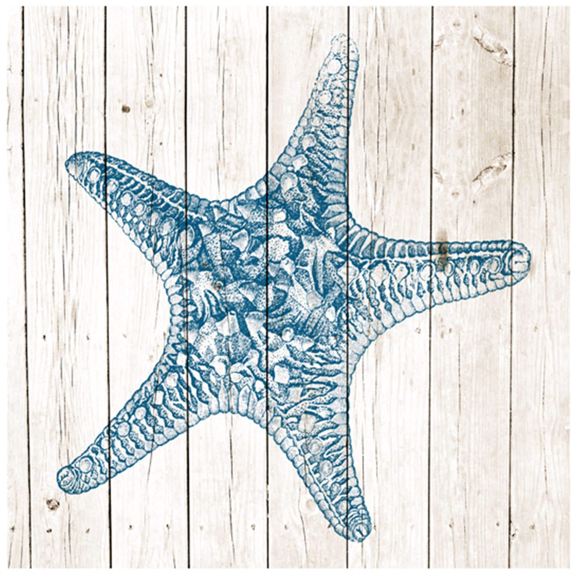 Epic Art Starfish on Planks Print
