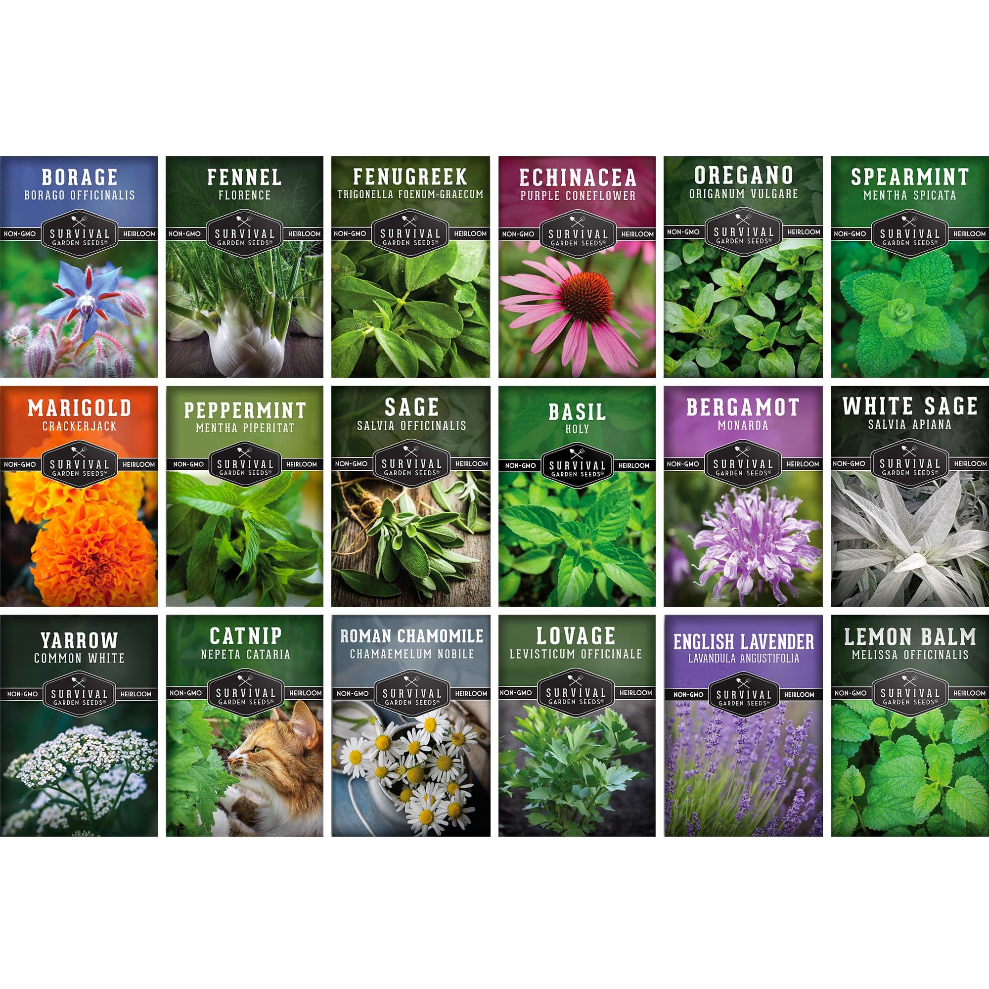 Medicinal Herb Seeds for Planting | 18 Seed Variety Pack of Heirloom, Non-GMO Herbs – Herbal Teas, Tinctures & Home Apothecary Garden Kit – Survival Garden Seeds