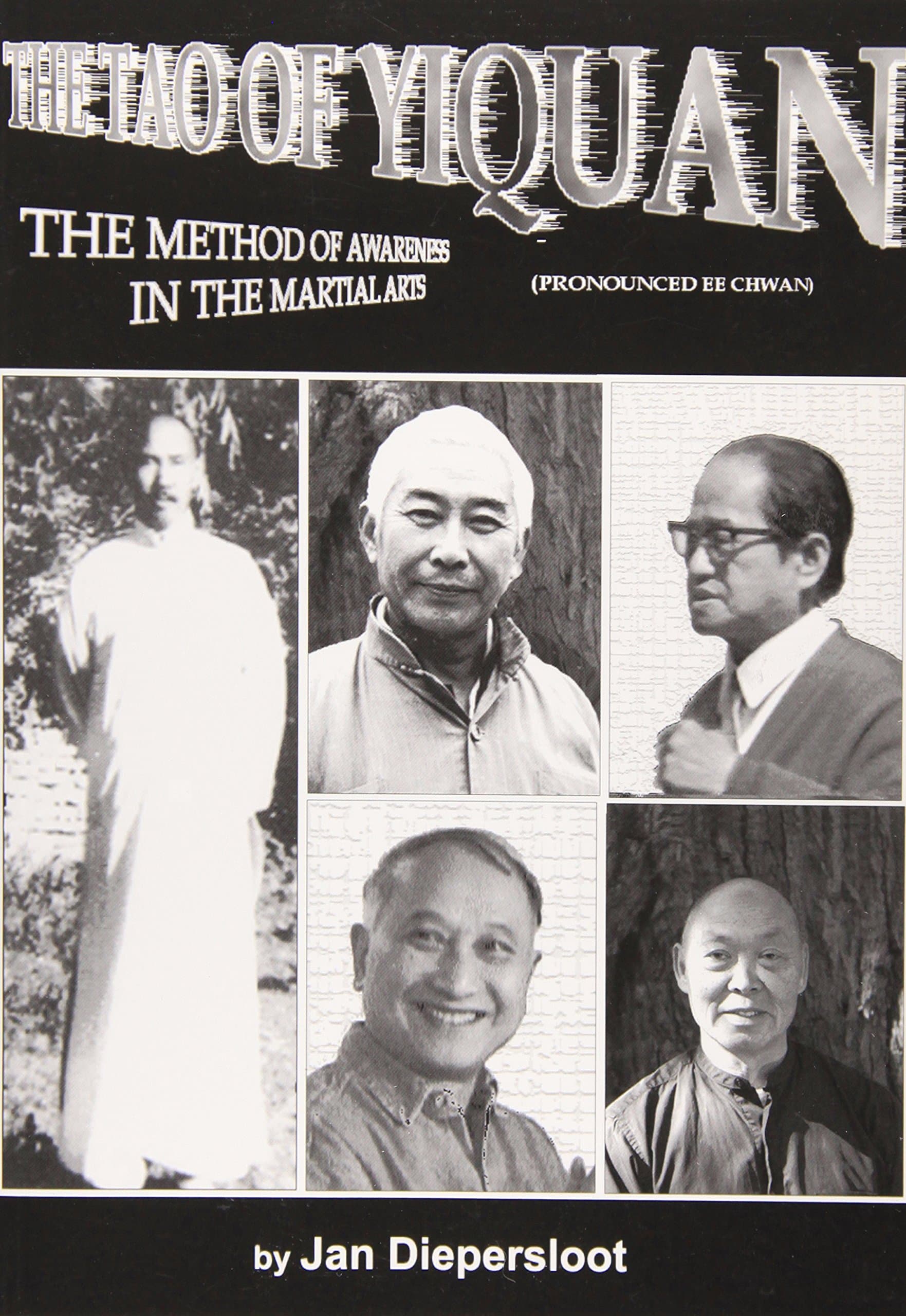 The Tao of Yiquan: The Method of Awareness in the Martial Arts