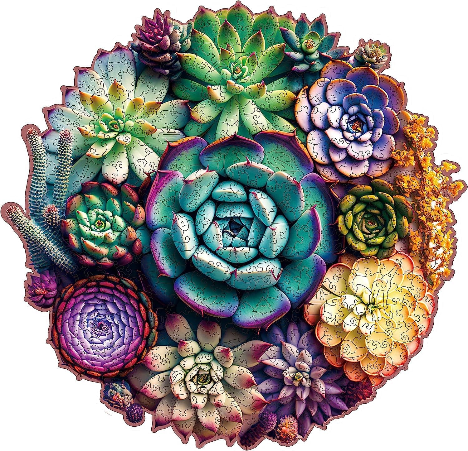 Wooden Puzzles for Adults 200 Piece Succulent Plant Jigsaws Puzzles Wooden Unique Shaped Family Games 11.3'' x 10.9''