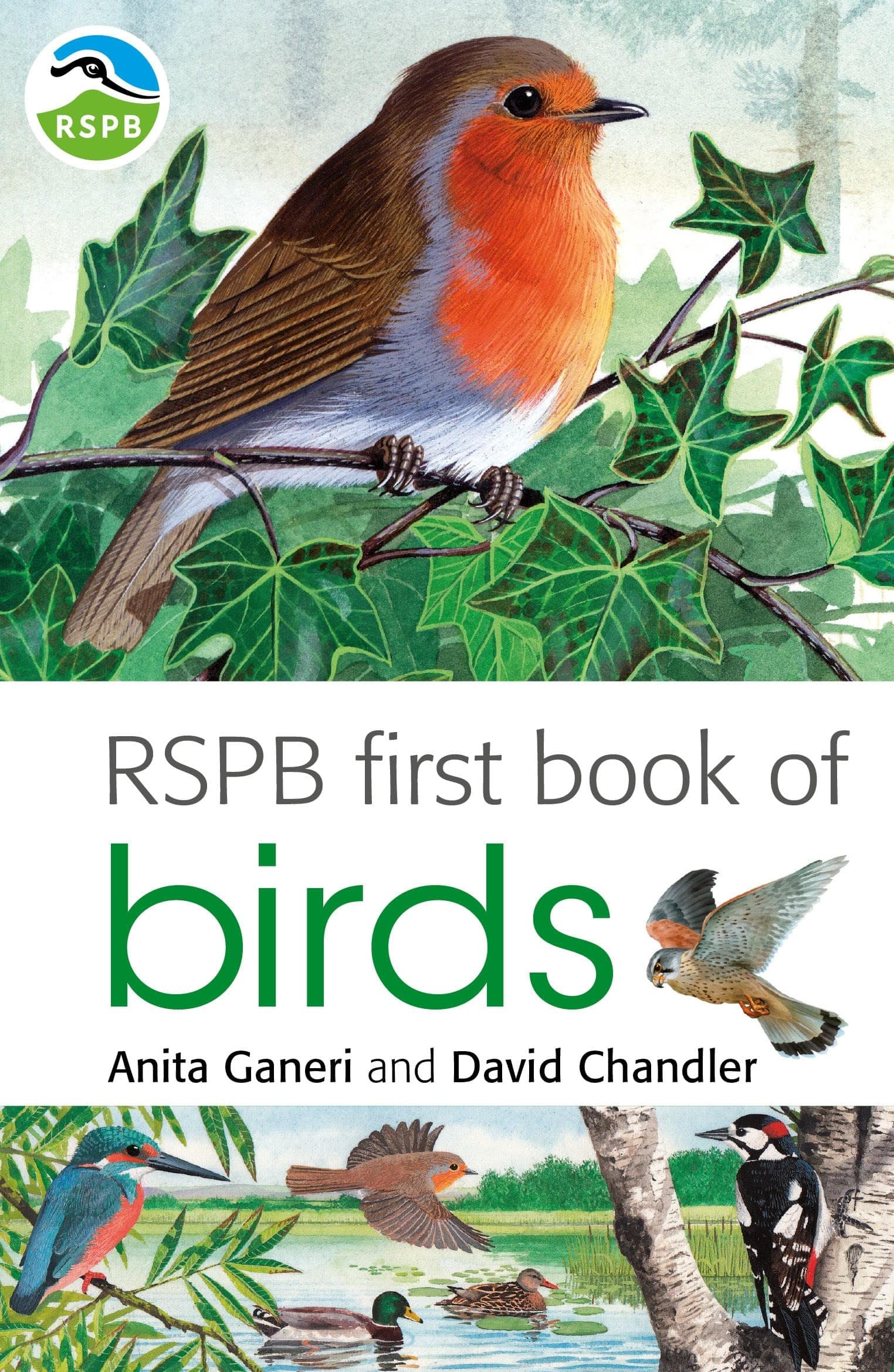 RSPB First Book Of Birds Paperback – 27 May 2011