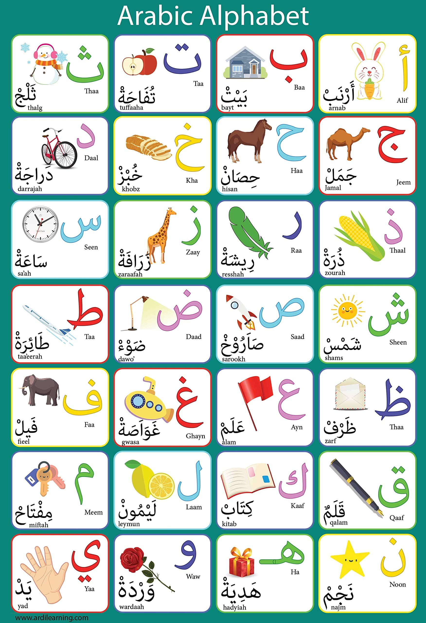 Ardi Laminated Arabic Alphabet Poster Perfect for Toddlers Kids Preschool & Kindergarten Classrooms