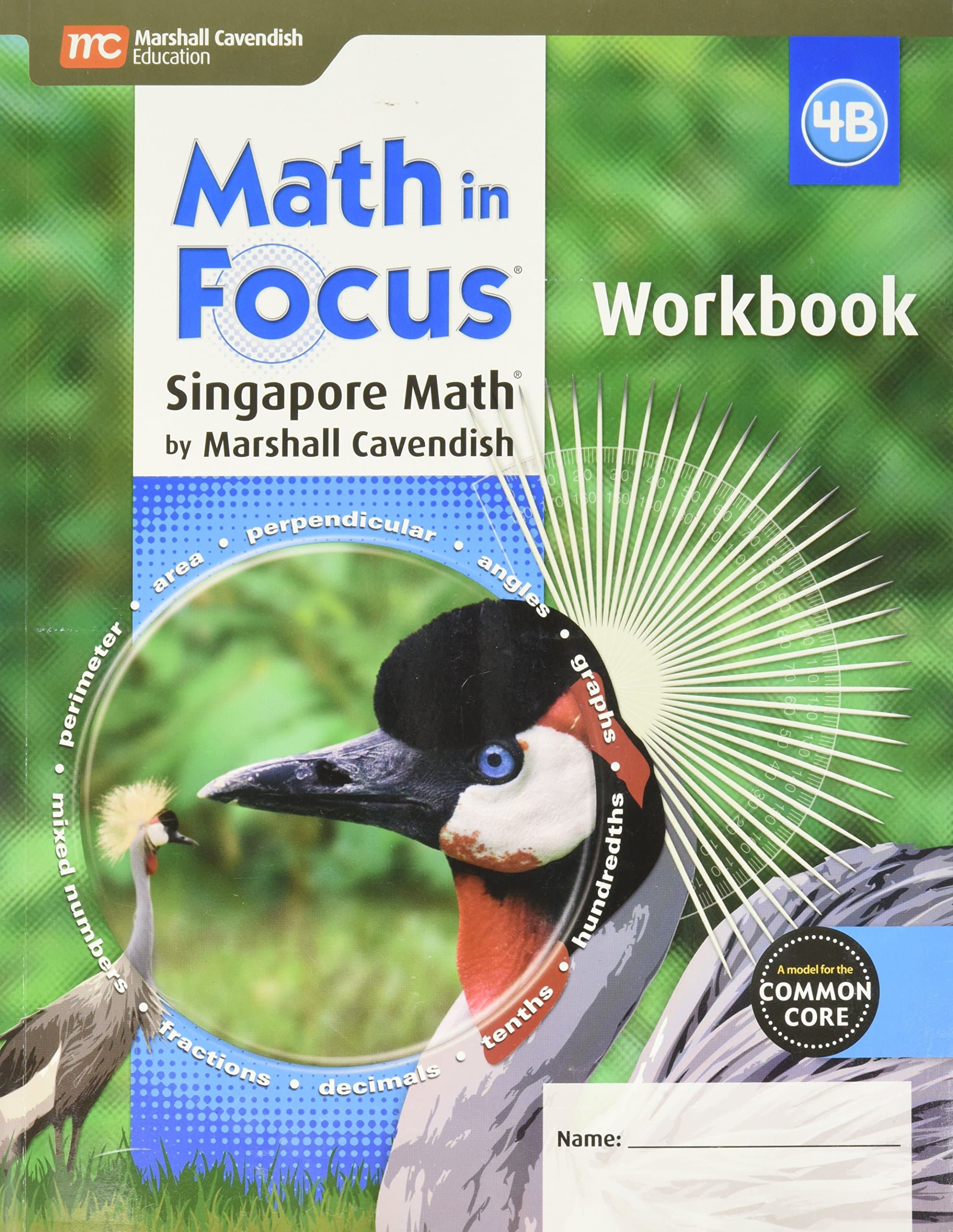 Math in Focus Workbook, Book B Grade 4 (Math in Focus: Singapore Math)