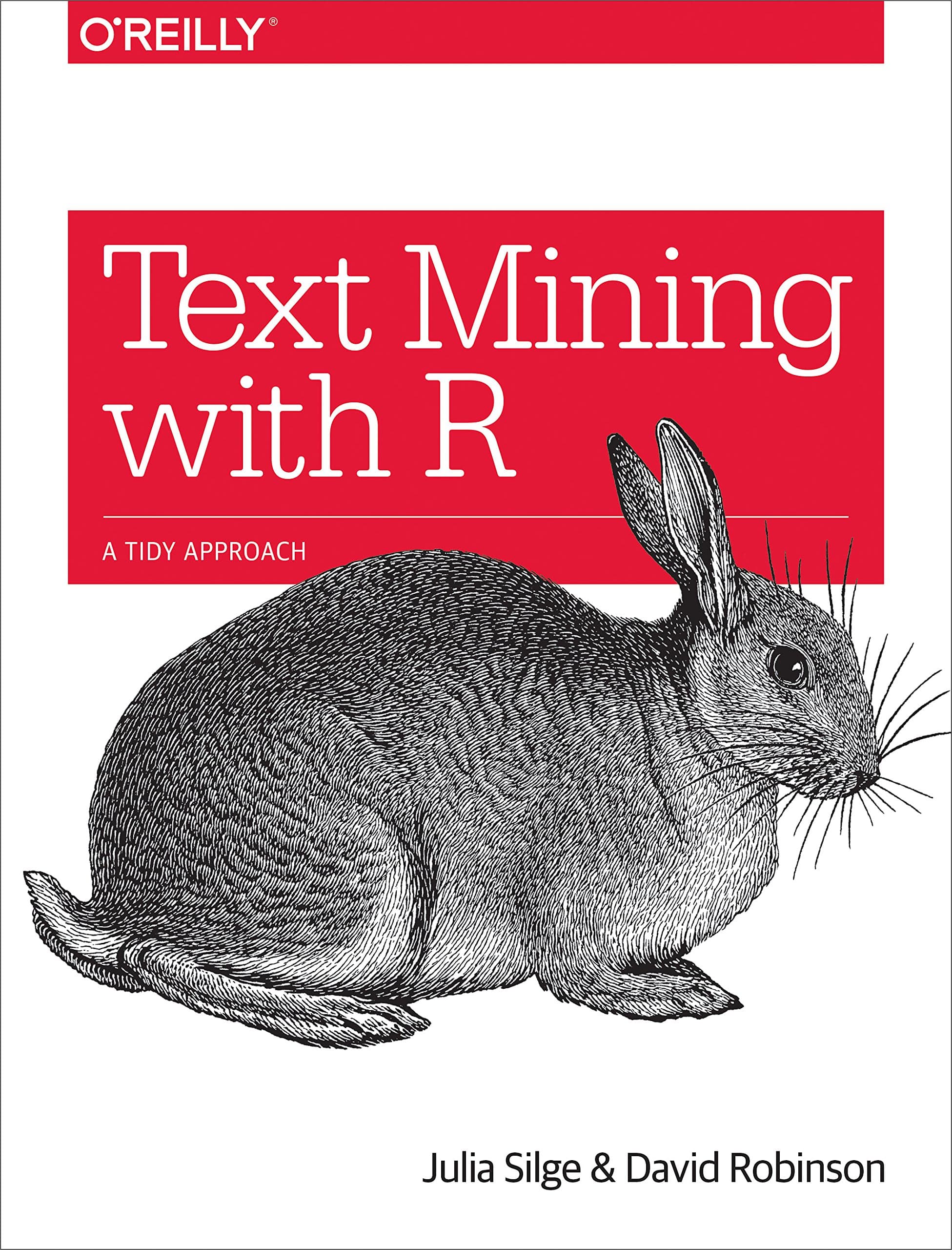 Text Mining with R Paperback – Big Book, 1 August 2017