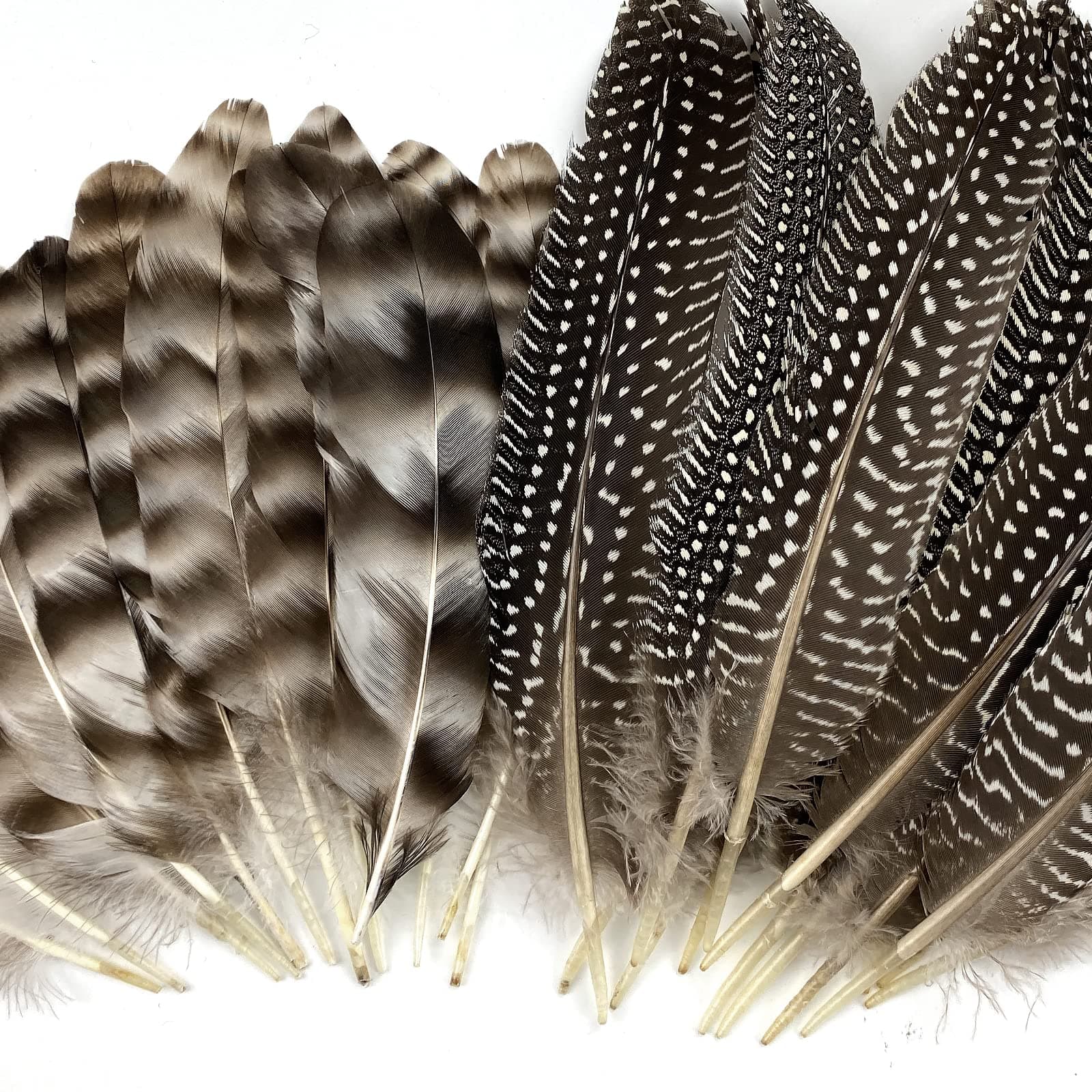 30 Pcs Natural Pheasant Feathers for DIY Craft 15-22cm Assorted Wild Turkey Feather Guinea Fowl Wing Quill Wedding Home Party Decorations(2 Styles)