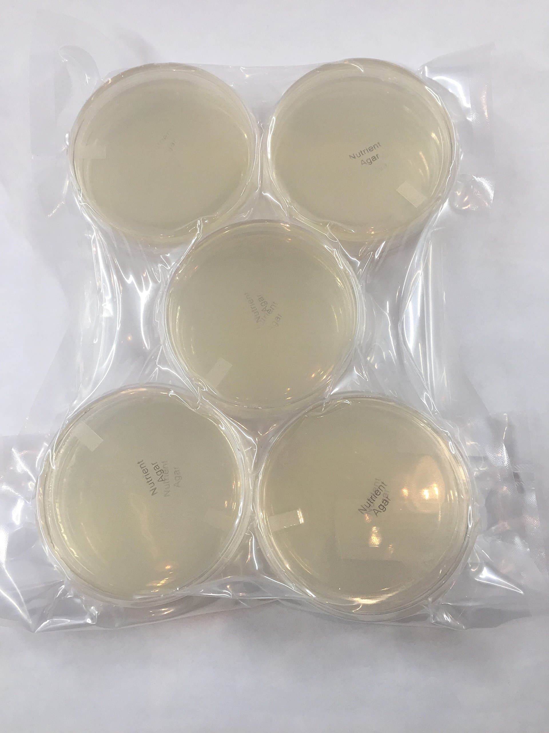 Nutrient Agar (NA), (10-Pack), Pre-Poured, Flat-Packed, Vacuum Sealed, 15x100mm Petri Plates
