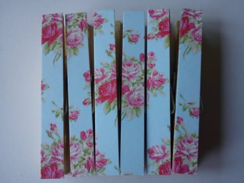 Magnetic Pegs Fridge Magnets - Tanya Whelan Bright Pink Roses on Blue