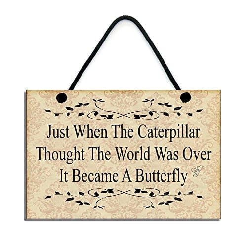 Inspirational Plaque Just When The Caterpilla Thought The World Was Over It Became A Butterfly Handmade Wooden Home Sign 132