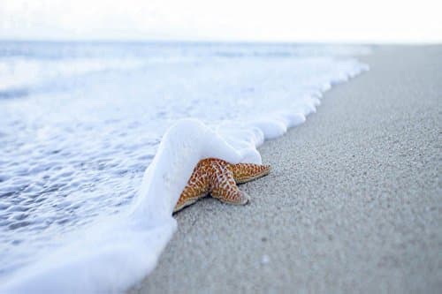 Elementem Big Canvas Wall Art – Starfish in Breaking Waves Photo Print - 24 x 36 inches – Ready to Hang Frameless Contemporary Statement Wall Art, Wall Mounted Photography