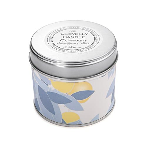 Clovelly Soap Co Handmade Natural Eucalyptus Mint and Lemon Scented Candle 8.75oz