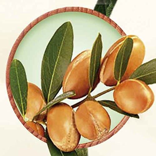 Argan oil -100% Pure and Natural Extracted by Cold pressing process No artificial / synthetic fragrance, flavor or preservative