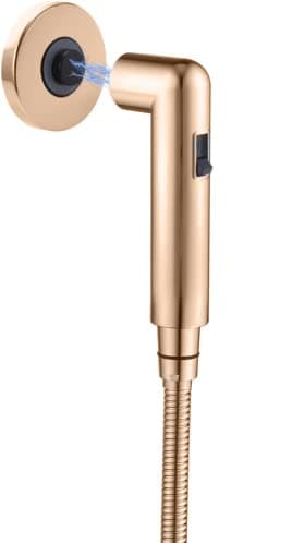 Aquieen Health Faucet Set Magna with Magnetic Hook & 1 meter SS304 shower tube (Rose Gold)