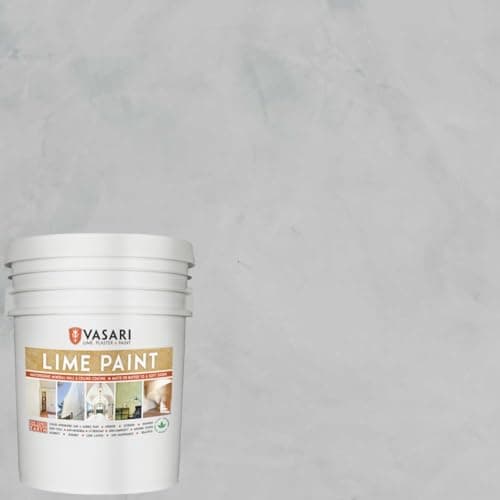 VASARI Lime Paint Lime Plaster & Paint | Interior or Exterior | Hot Selling Colors Assorted Sizes (5 Gallon, Cement Gray #21)