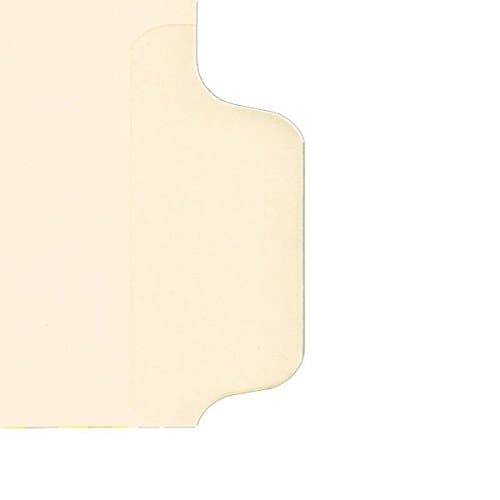 Ecom Folders Individual Chart Divider Packs, Blank - Write on Tabs, Side Tab 1/8th Cut, Pos #8 (Pack of 50)