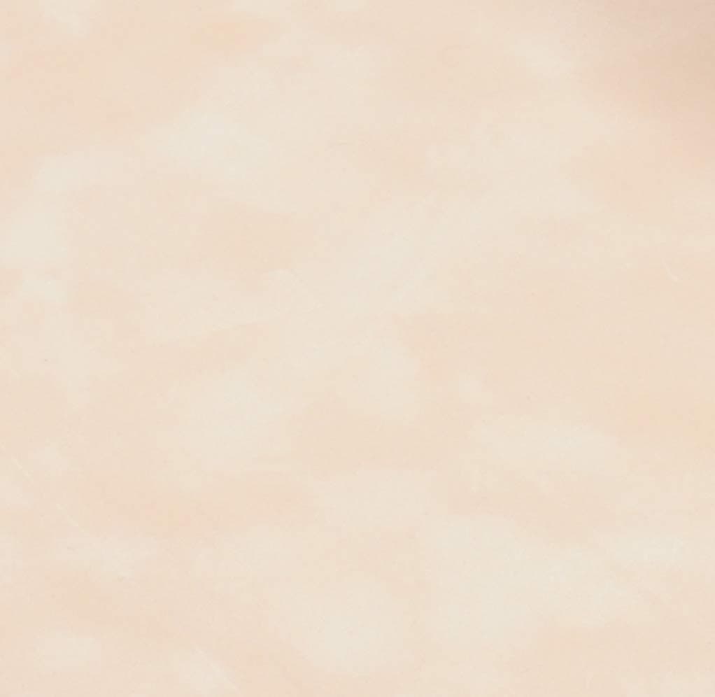 Venilia 53200 Adhesive Film Velvet Look Beige Velour Film Decorative Film Furniture Film Wallpaper Self-Adhesive Film PVC Light Beige 140 µm (Thickness: 0.14 mm)