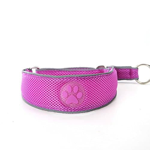 Pet Collars for Dogs Classic Ultra-soft Padded Reflective Martingale Pet Collar for Dog