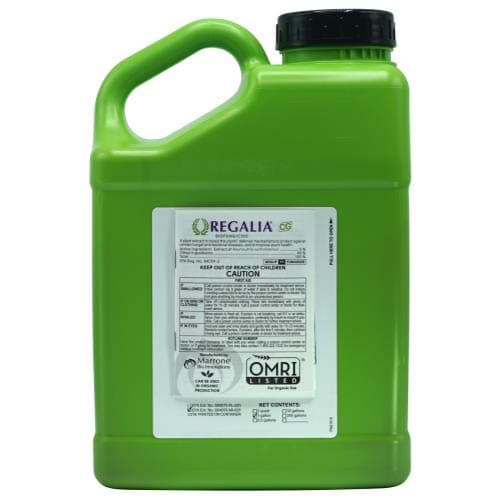 Marrone Bio InnovationsMarrone Bio Innovations Regalia CG Gallon
