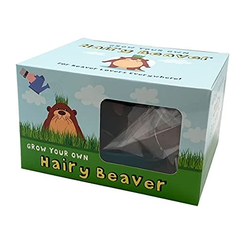 Diabolical DP1255 Grow Your Own Hairy Beaver - Funny Secret Santa Gifts for Women, Rude Birthday Gifts for Her, Funny Gifts for Men Under 10 Pounds, Birthday Presents Mum