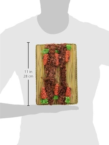 Boredom Breaker Rosewood Carrot Play Patch, Rabbit Toy & Toy for Small Animals
