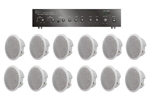 Large Restaurant/Bar/Retail Store Business Background Music Sound System- Amplifier, 12 Speakers +