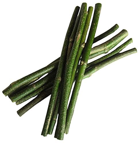 Timosha™ || KARANJ - Datun|Datwan|Chew-Stick (दातुन) || 50 pcs.