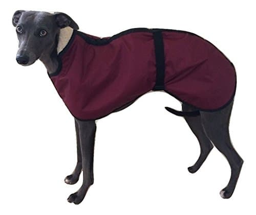 4 COLOURS Fleece Lined Waterproof Dog Coat 5 SIZES with Adjustable Clip Strap Whippet/Greyhound/Lurcher/Italian Greyhound/Sighthound (XLarge, Burgundy)
