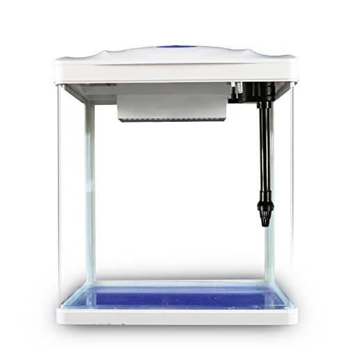 Pettix Glass Nano Fish Tank, 8. 8 Ltr (White)