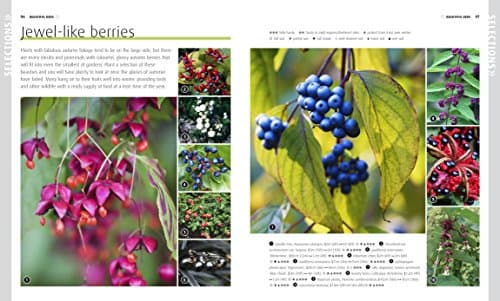 RHS How to Grow Practically Everything: Gardening Projects Anyone Can Do