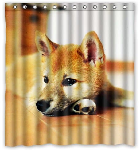 Cute shiba inu puppy of animal background for Polyester Shower Curtain 66" X 72" Inches