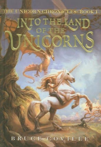 Into the Land of the Unicorns Paperback – January 1, 2008