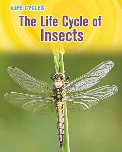 The Life Cycle of Insects (Heinemann Infosearch, Level R: Life Cycles)