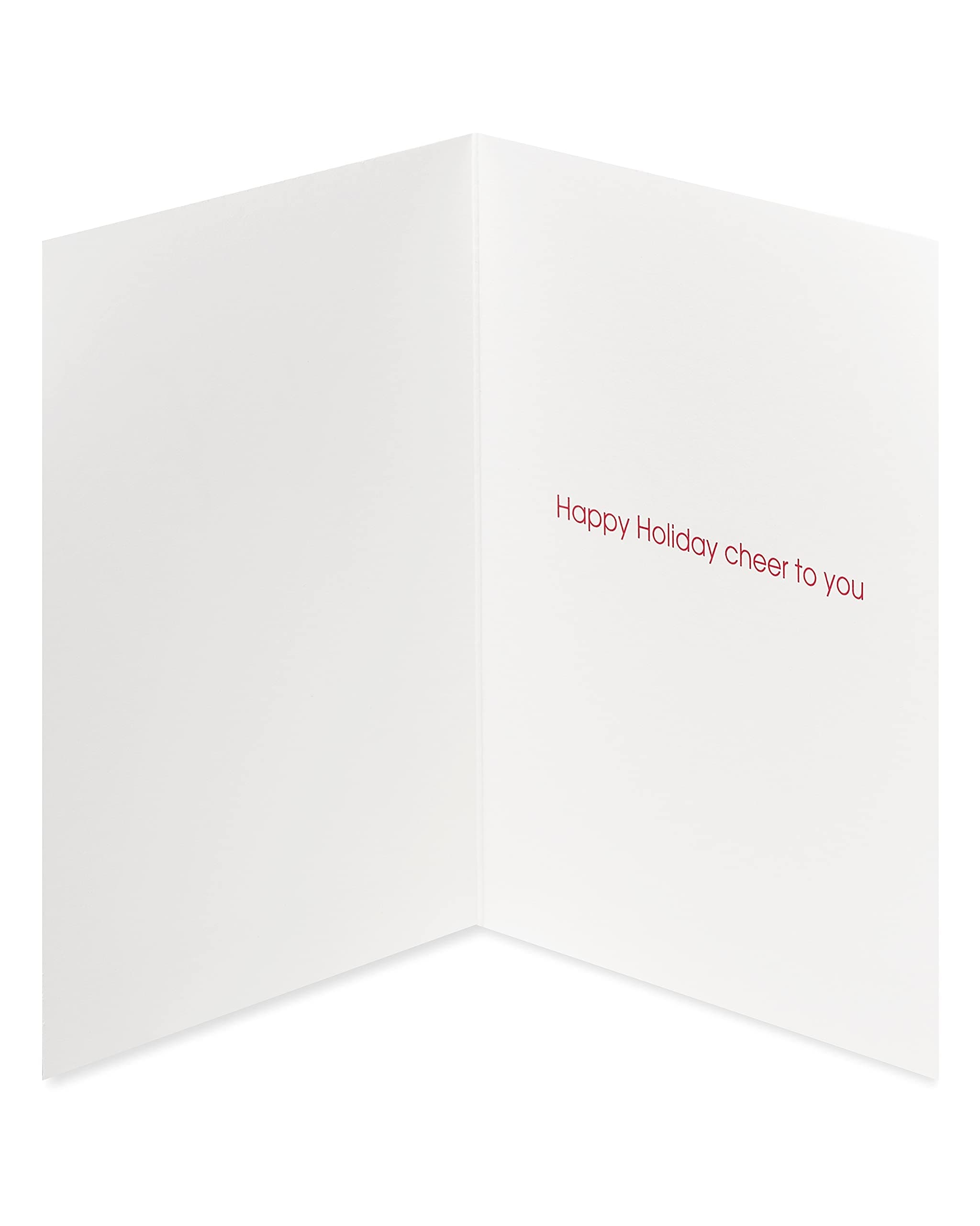 Papyrus Boxed Christmas Cards with Envelopes, Holiday Cheer, Polar Bear (20-Count)